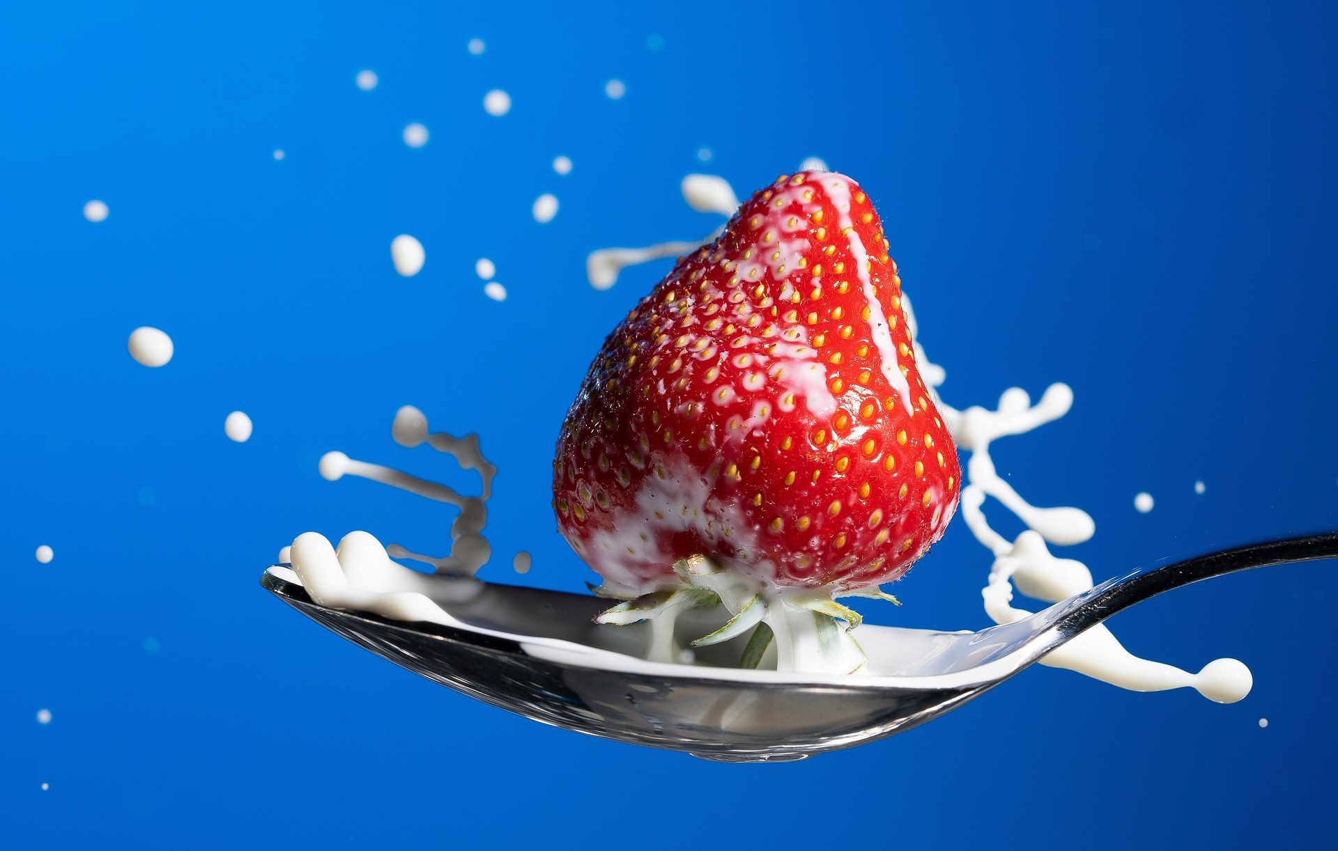 Capture Culinary Moments: Food Photography Equipment Tipps